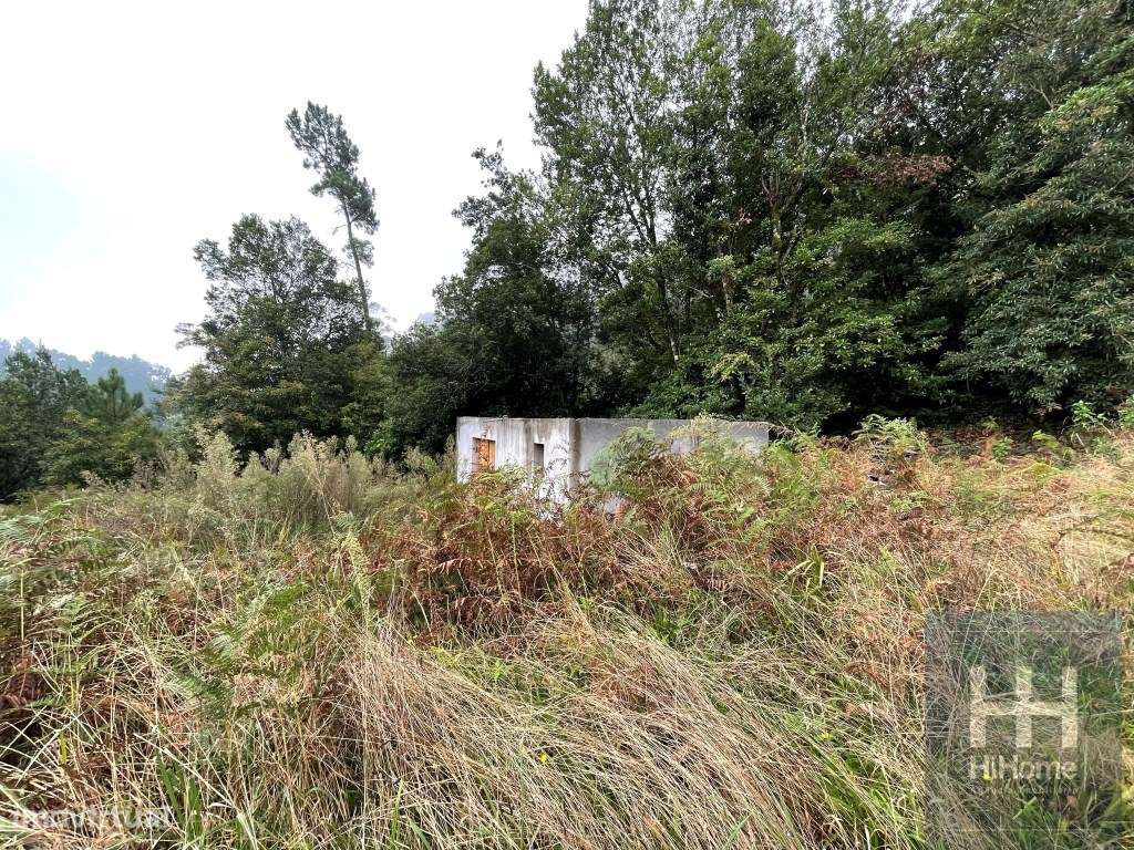 Terreno com Palheiro em São Vicente, Madeira - Grande imagem: 4/9