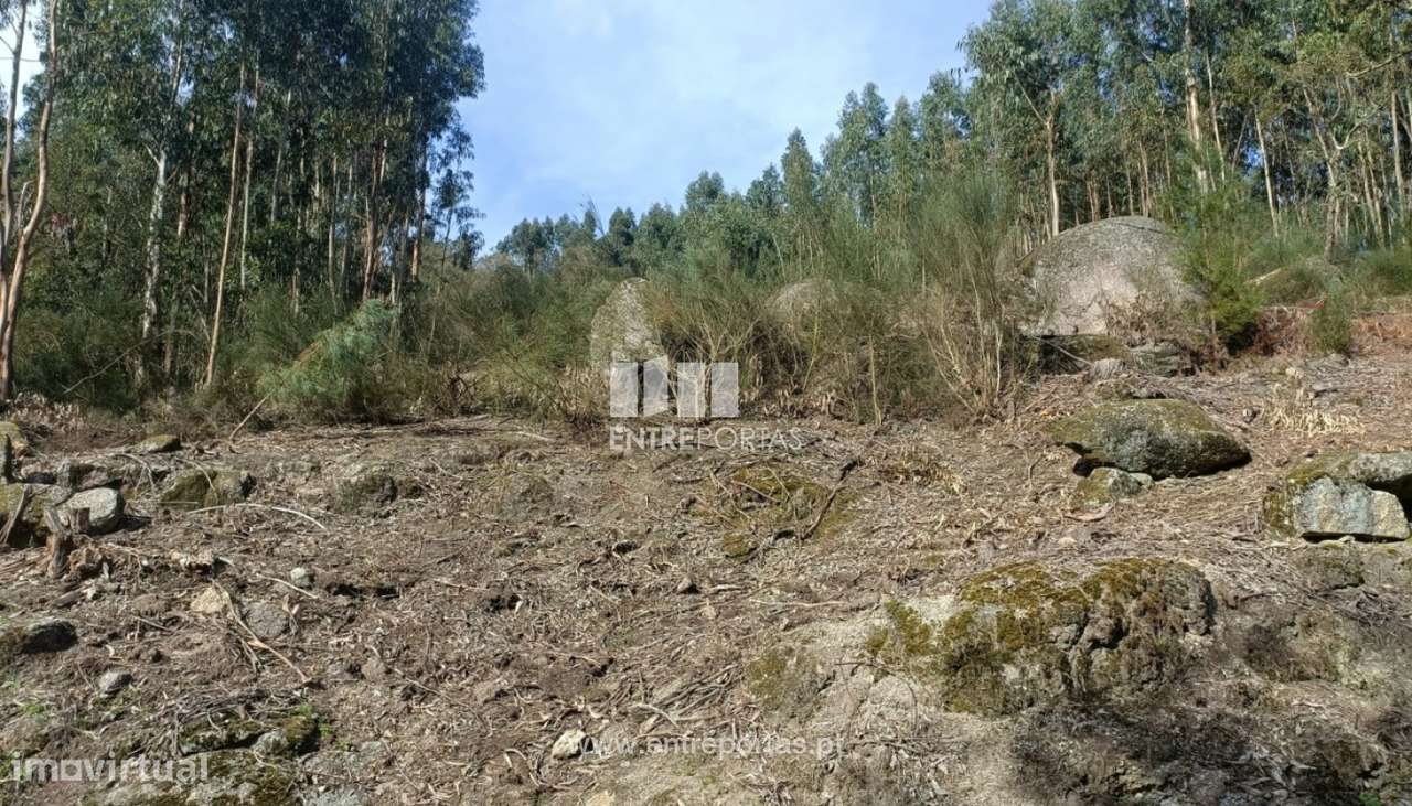 Venda Terreno  Vila Cova Penafiel - Grande imagem: 4/10
