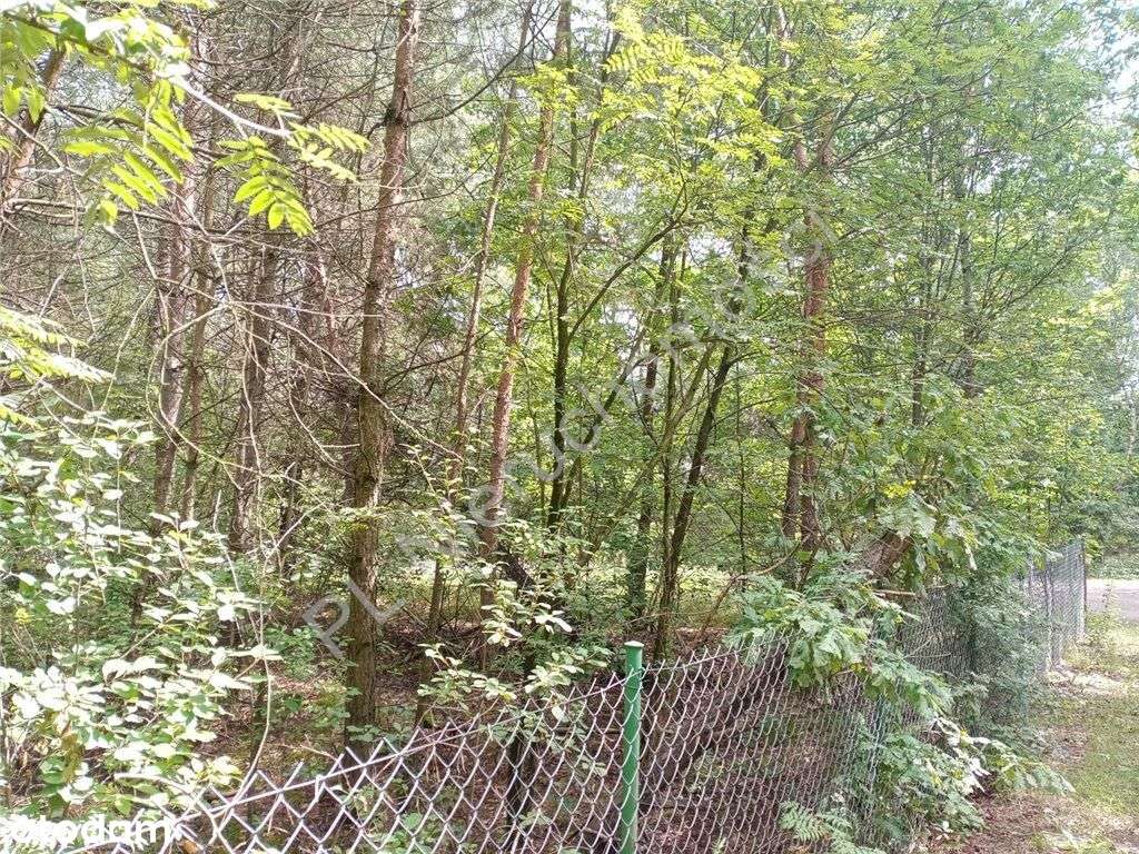 Działka w niedużej miejscowości letniskowej-3