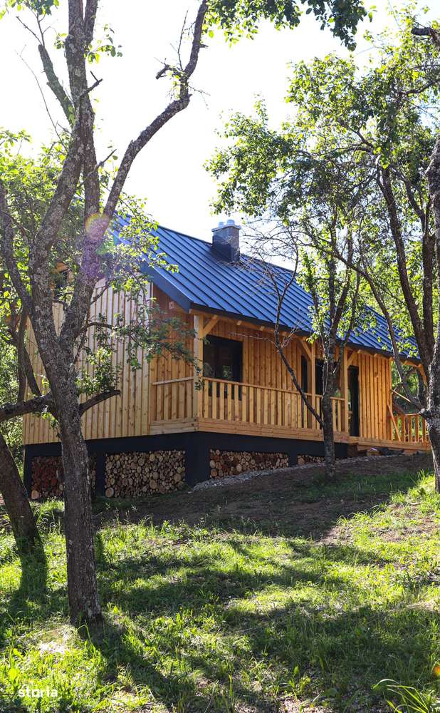 Cabana de vis in Nucsoara - Arges - 65.000 Euro+TVA-13