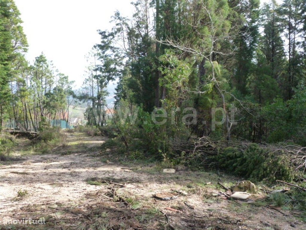 Terreno Para Construção, Coimbra, Coimbra