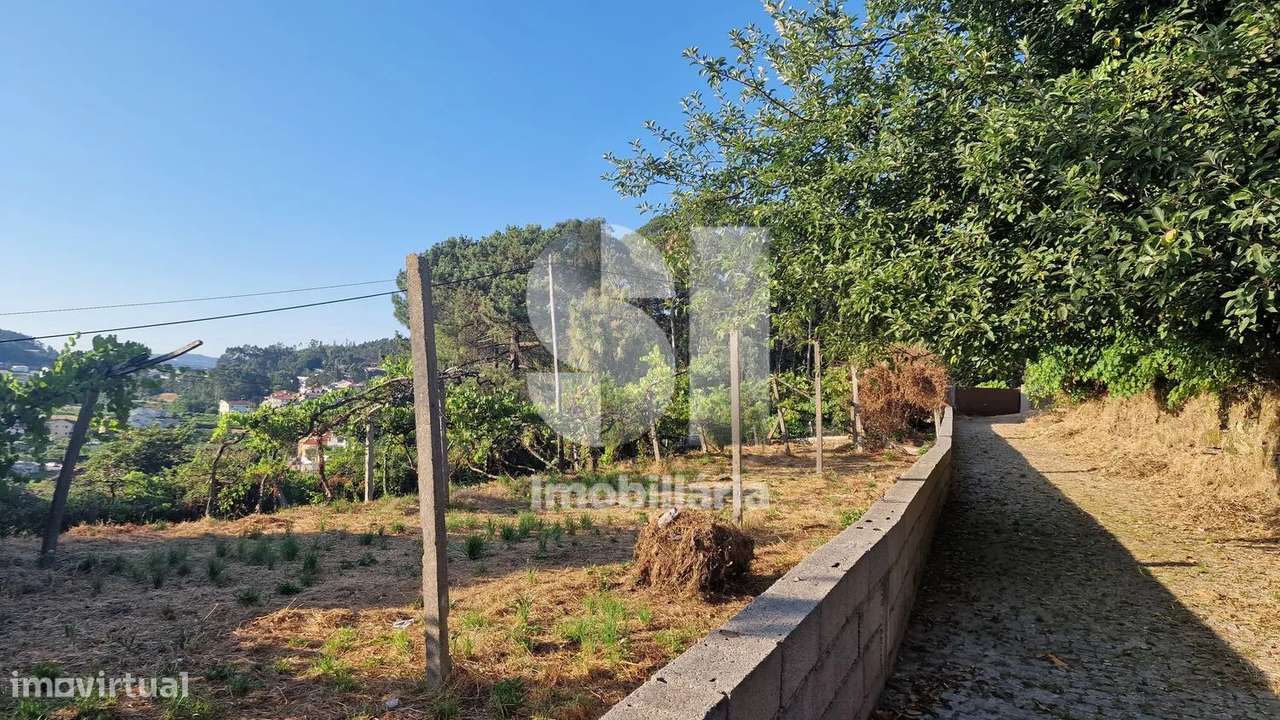 Terreno - potencial de investimento - Astromil - Paredes-10