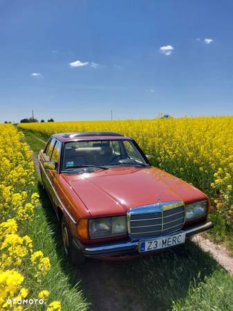 Mercedes-Benz W123 - 3