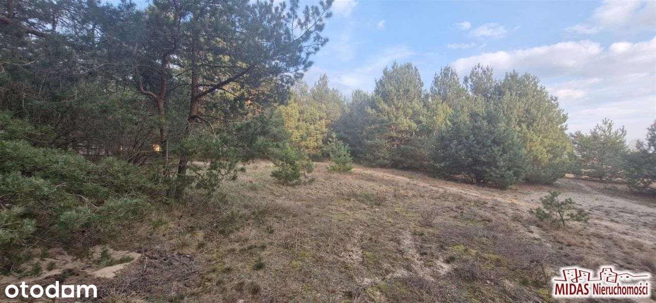 Działka, 1 200 m², Kowal-6