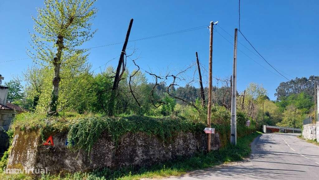 Terreno c/ viabilidade construtiva - Eira Vedra-1