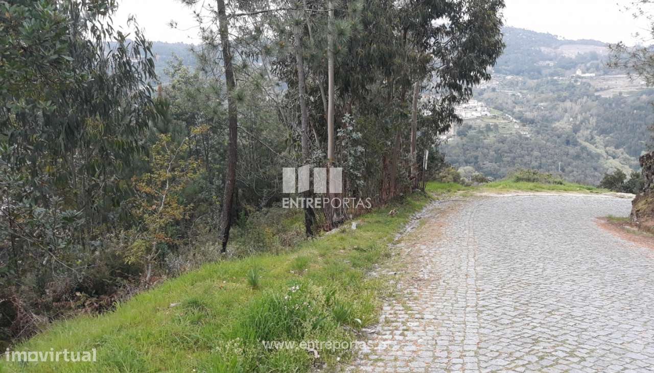 Venda Terreno, Ancede, Baião - Grande imagem: 3/17