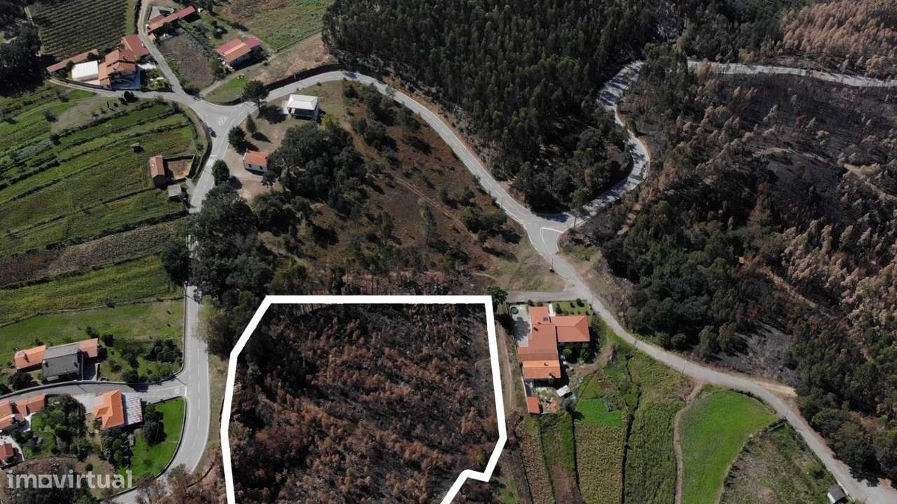Terreno rústico, para venda, Sever do Vouga - Cedrim - Grande imagem: 3/6