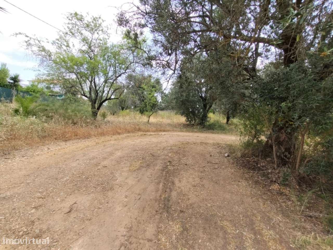 Terreno Rústico a 10km de Estoi-15