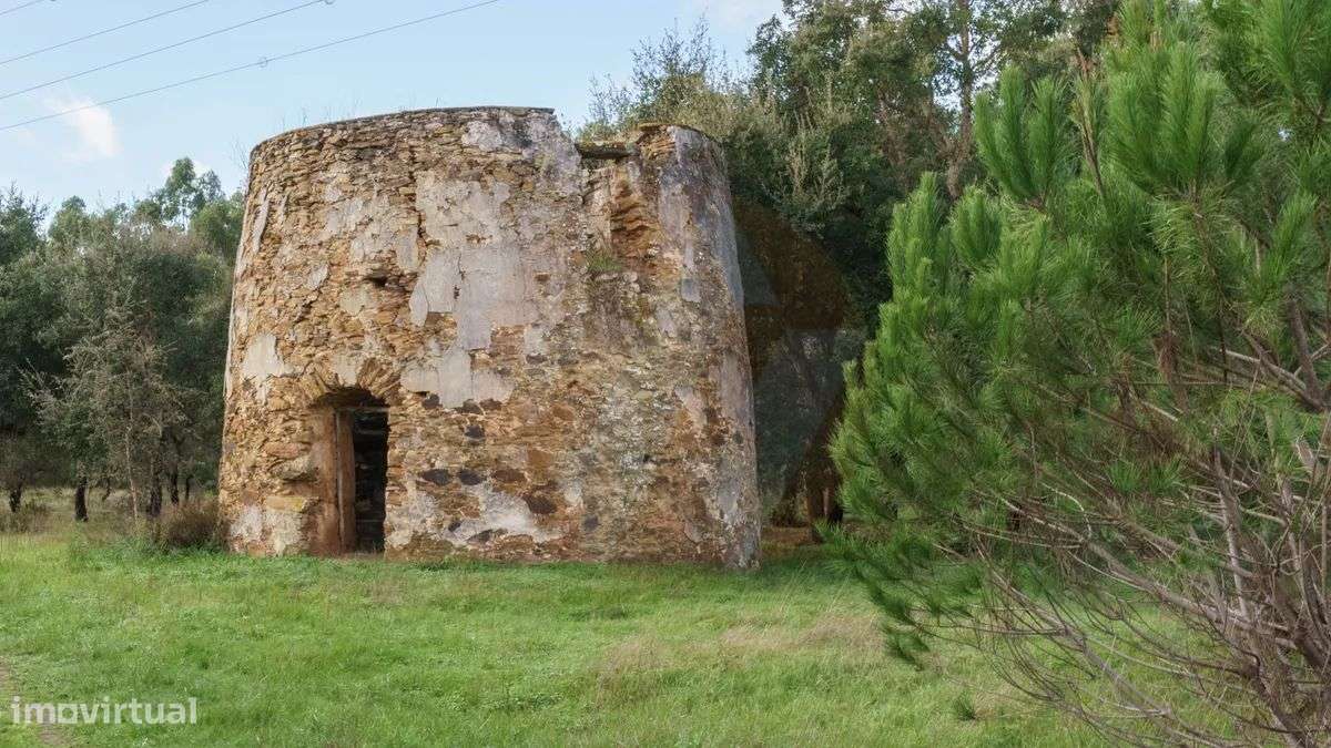 Herdade Agrícola com potencial turístico - Grande imagem: 4/10