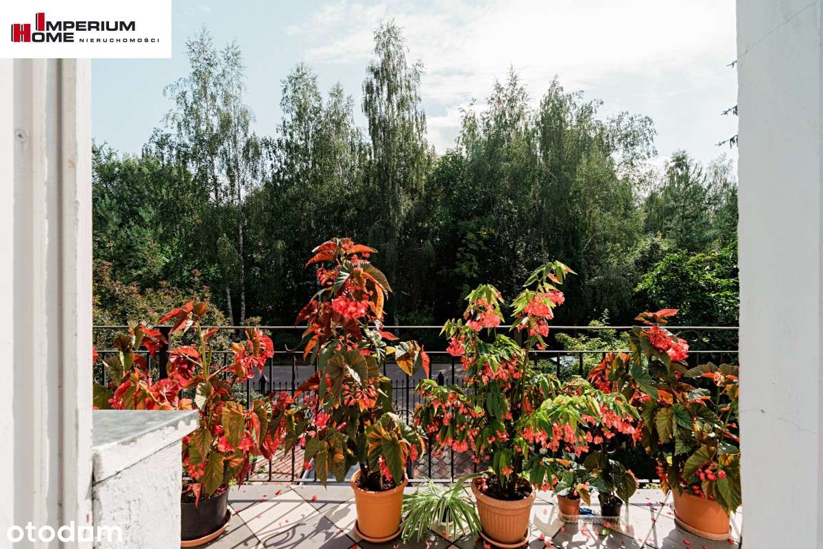 Dom  potencjałem - Rotmanka k. Pruszcza Gdańskieg-12