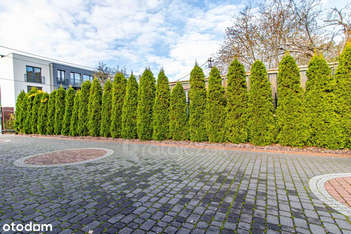 Dom wolnostojący, 4 kondygnacje, ogród, garaż - Pełny obrazek: 5/20