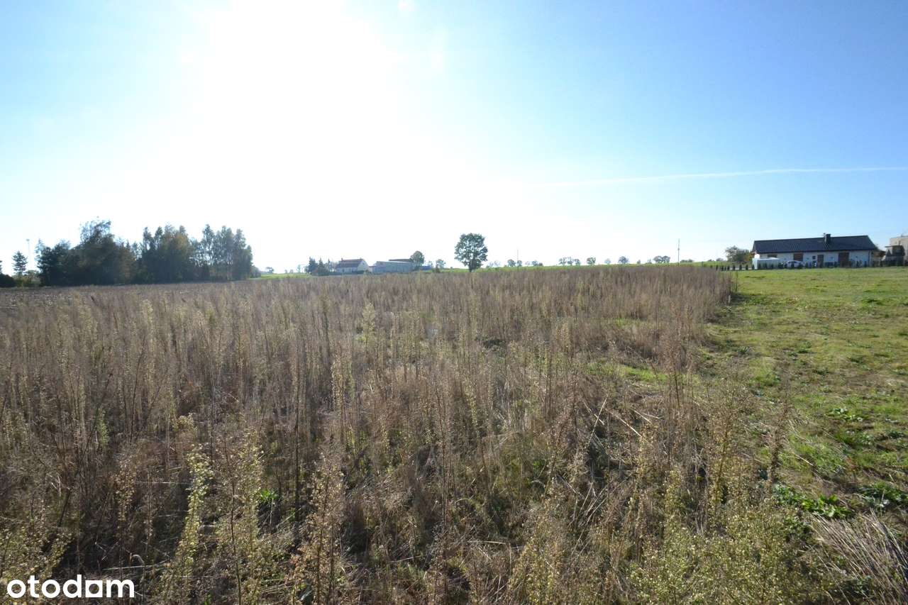 Duża działka budowlana Wiatrowo gmina Wągrowiec-4