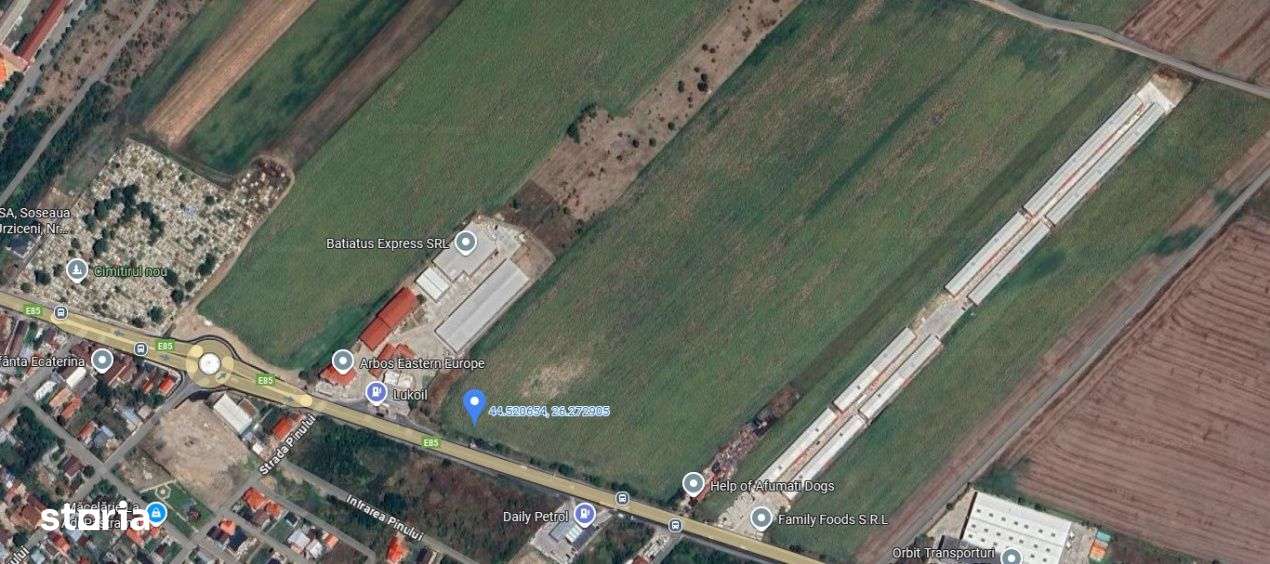 TEREN INTRAVILAN 30.000 MP ZONA AFUMATI CEL MAI MIC PRET 70 EURO/MP - Imagine principală: 2/3