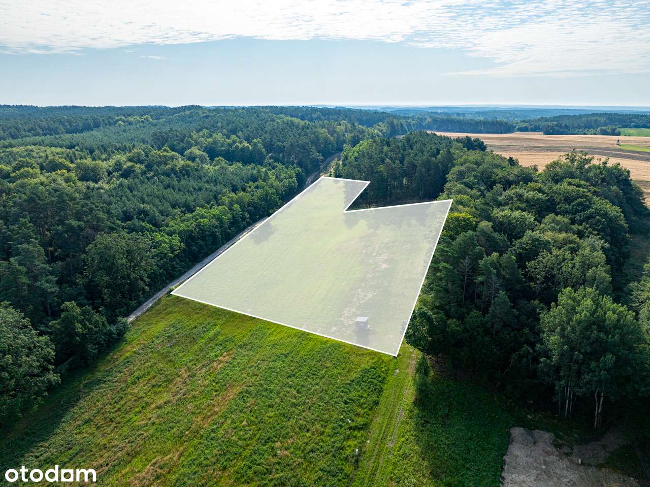 Łagówek działka przy lesie z wydanymi wz - Pełny obrazek: 2/11