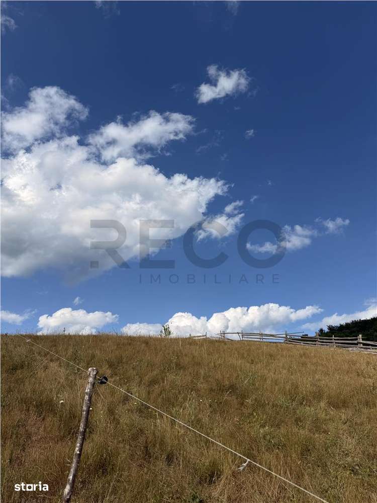 Reco, Teren Rosia - Imagine principală: 4/4