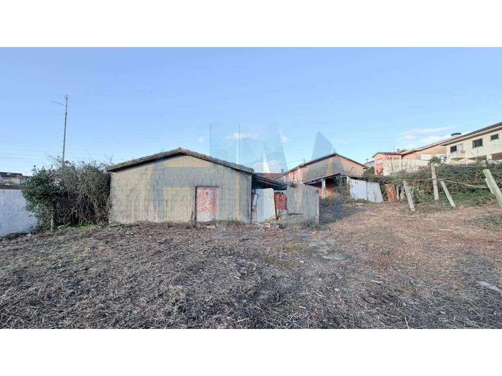 Moradia Térrea T3 para Renovação com Terreno urbano de 3.000 m² - F...-8