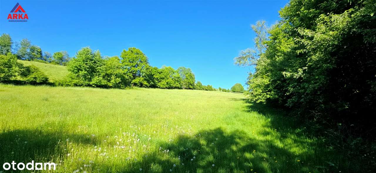 2,62 ha gruntów rolnych | Stróża | tylko 900 zł/ar-4