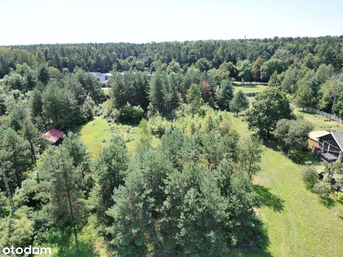Działka Budowlana 4966 m2 blisko lasu Łęka-10