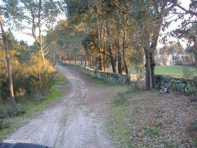 Quinta em Chaves Terreno 50 Ha (500 mil M2) Construção 1.593 m2-30