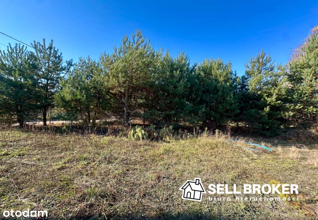 Piękna działka budowlana pod lasem! woda / prąd - Pełny obrazek: 4/14