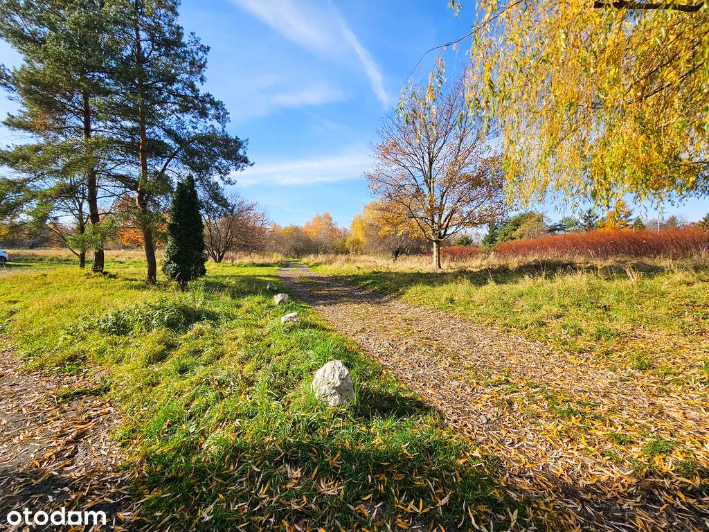 Po generalnym remoncie z umelowaniem + balkon !-14