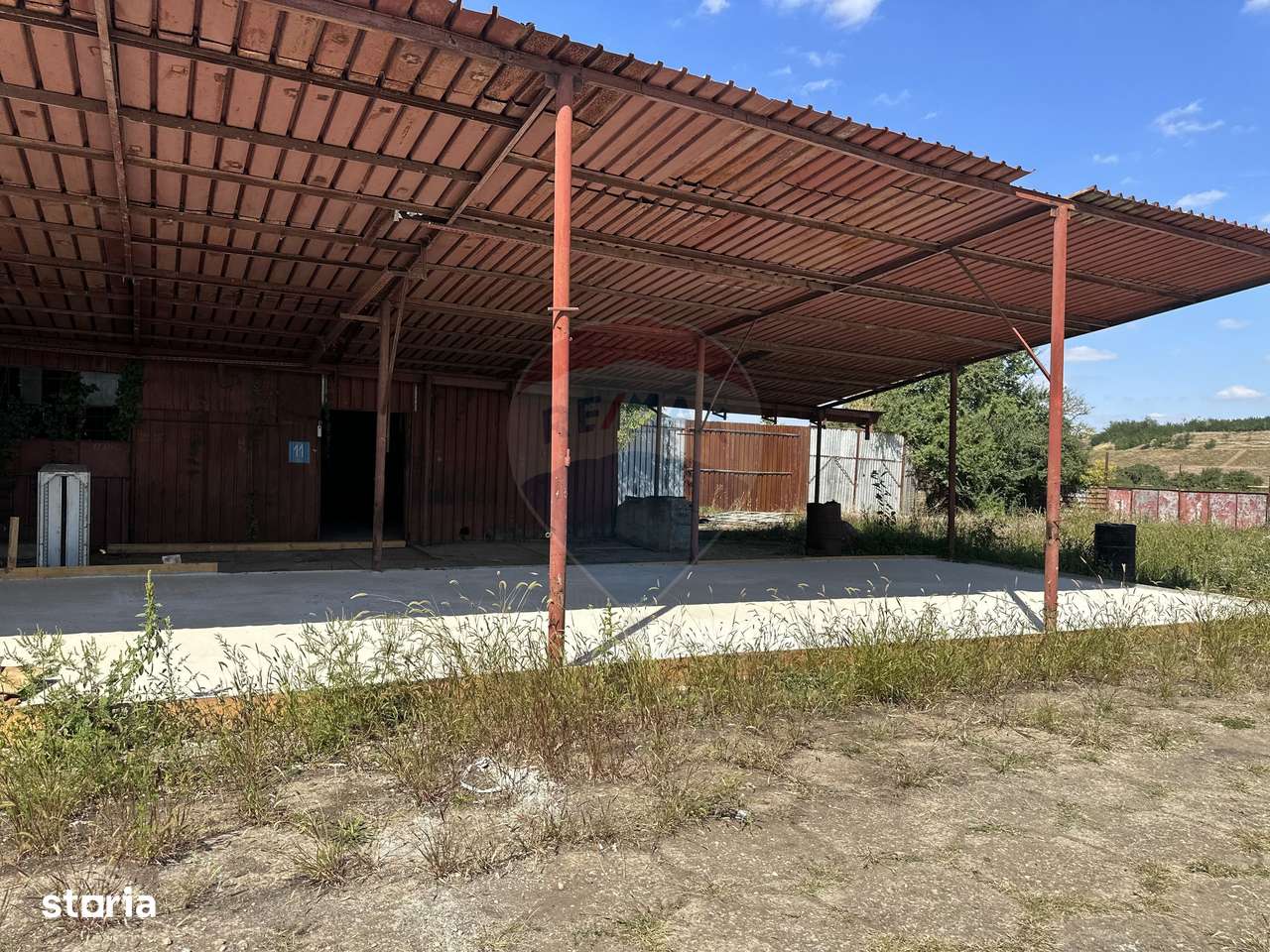 Spațiu industrial hale depozitare si productie - Imagine principală: 4/9