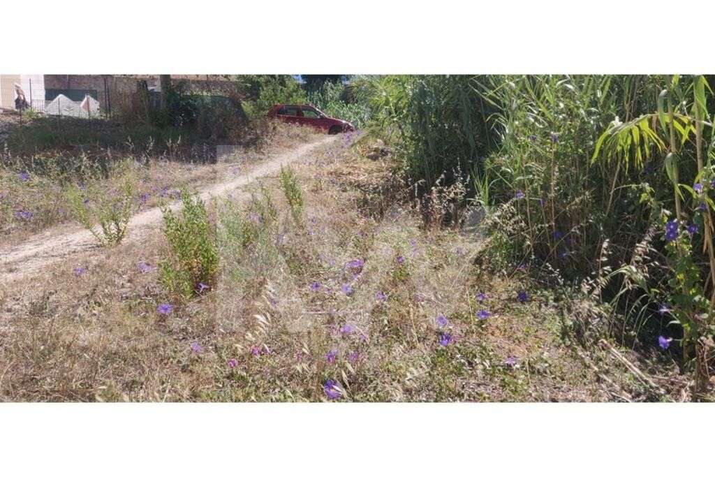 Terreno para construção - Grande imagem: 4/9