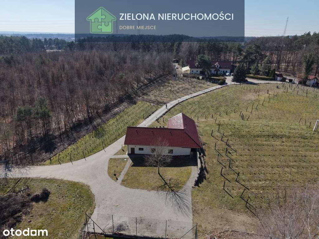 Posiadłość z winnicą w Zielonej Górze-16