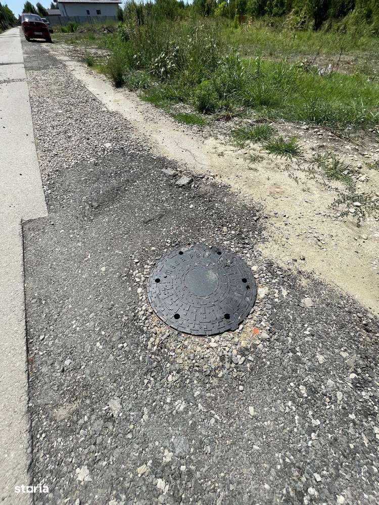 Ordoreanu, Clinceni, Padure-2