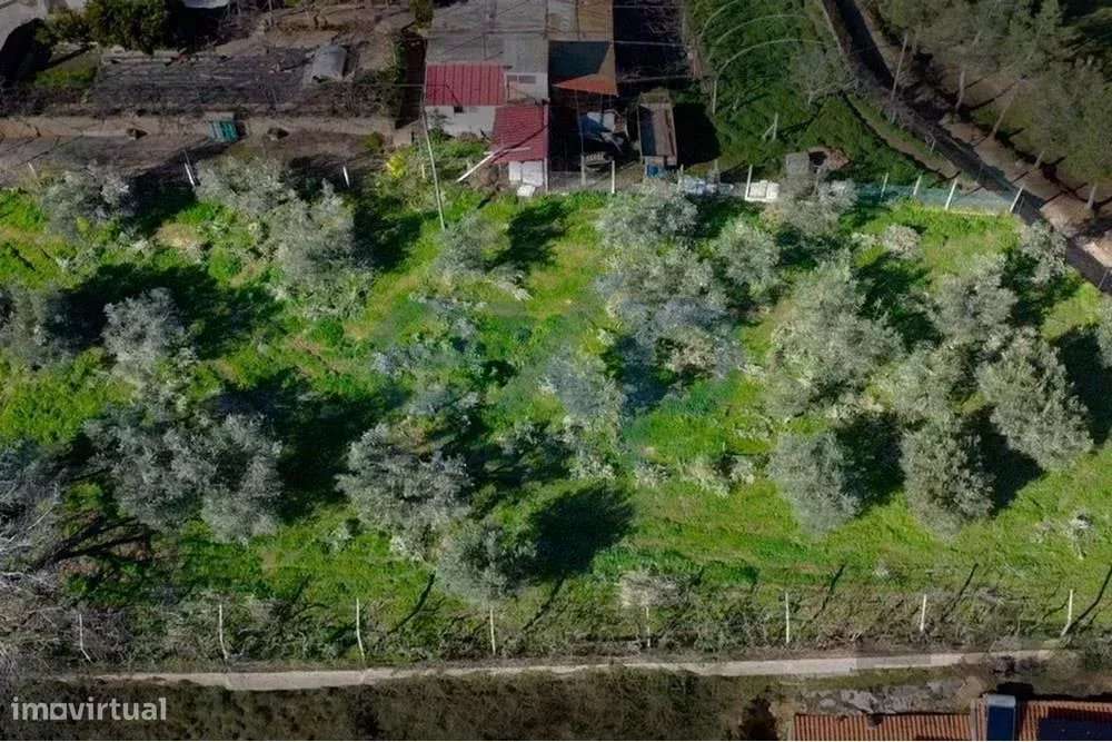 Terreno Rústico em Murça, Vila Real - Grande imagem: 4/4