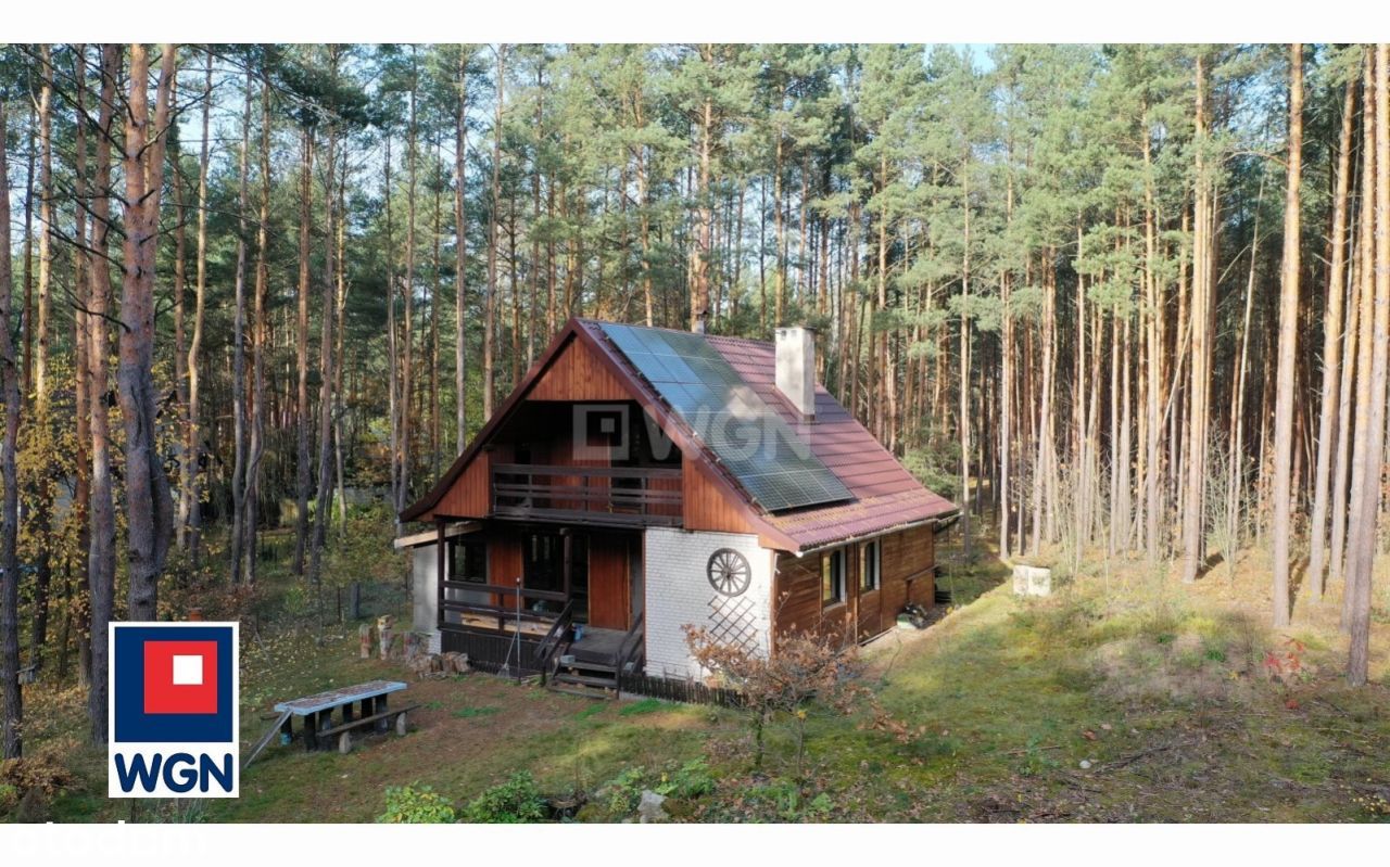 Mały domek w lesie
