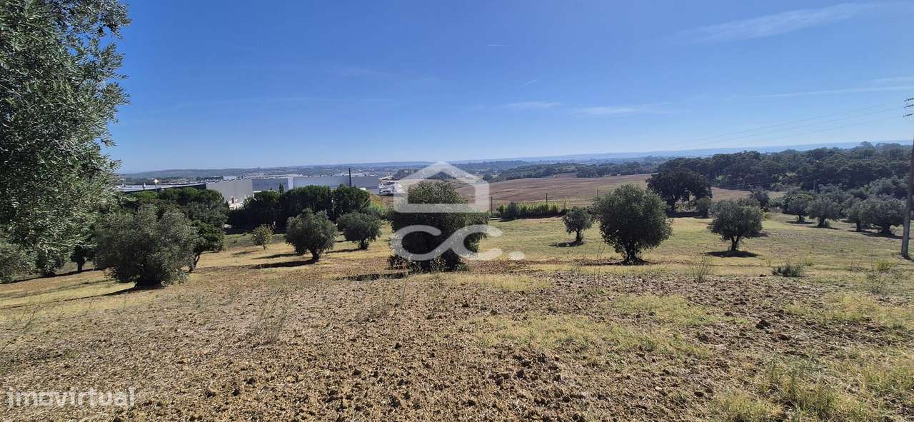 Terreno Rústico com 25.240 m² em Ferras, Gavata, Torres Novas – RAN-18
