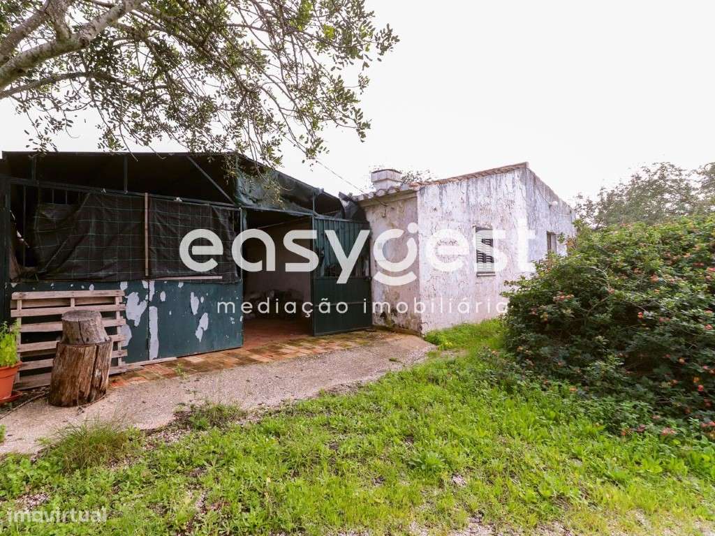 Monte para recuperar em Santa Catarina com vista serra e vista mar - Grande imagem: 4/41