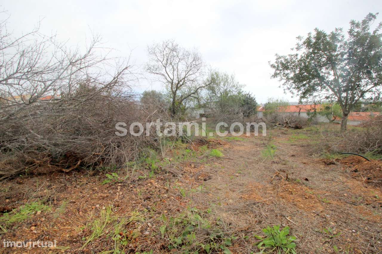 Terreno Para Construção  Venda em Loulé (São Sebastião),Loulé - Grande imagem: 3/4
