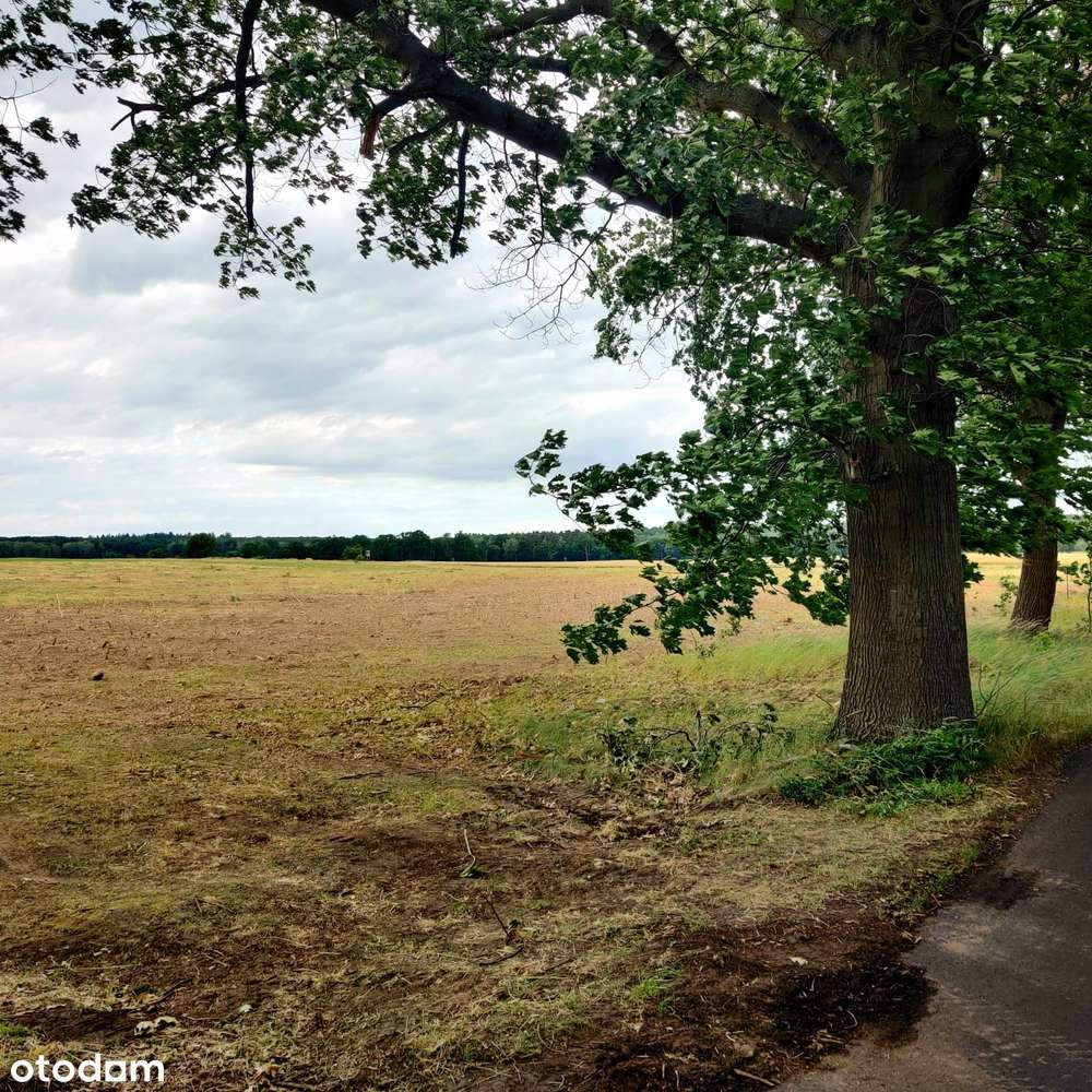 Działki budowlane - w okolicy jezioro i lasy,MPZP-3