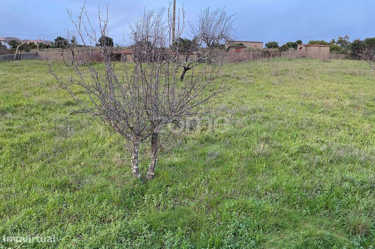 Terreno com 5.000 m2 em Brejas do Barco, Cambas, Oleiros - Grande imagem: 4/19