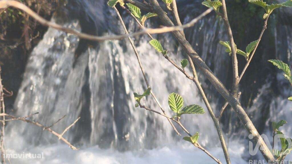 Terreno Agrícola em Seixo da Beira - Grande imagem: 3/24