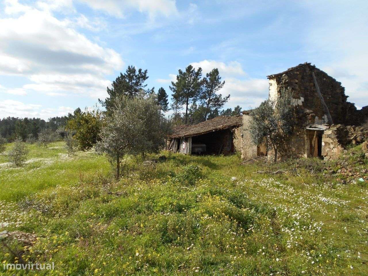 Quinta - Grande imagem: 5/10