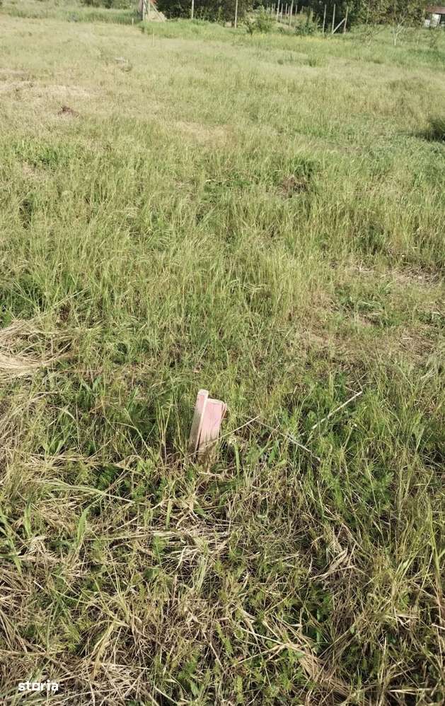 Teren vanzare KM5- Veterani langa parc - Imagine principală: 3/3