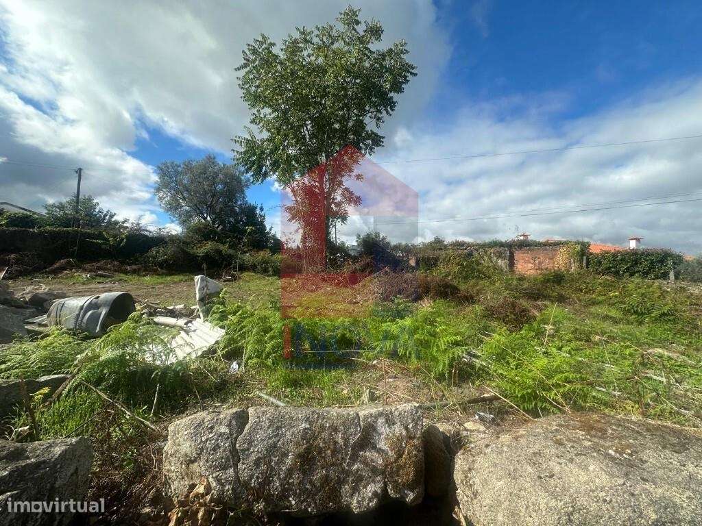 Moradia Térrea ESTRUTURA, Palmeira - Grande imagem: 3/16