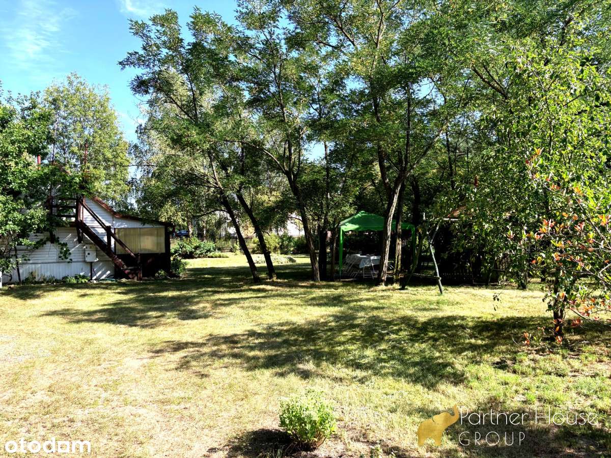 Rzeka Bug/Las/Media/Natura - Pełny obrazek: 4/12