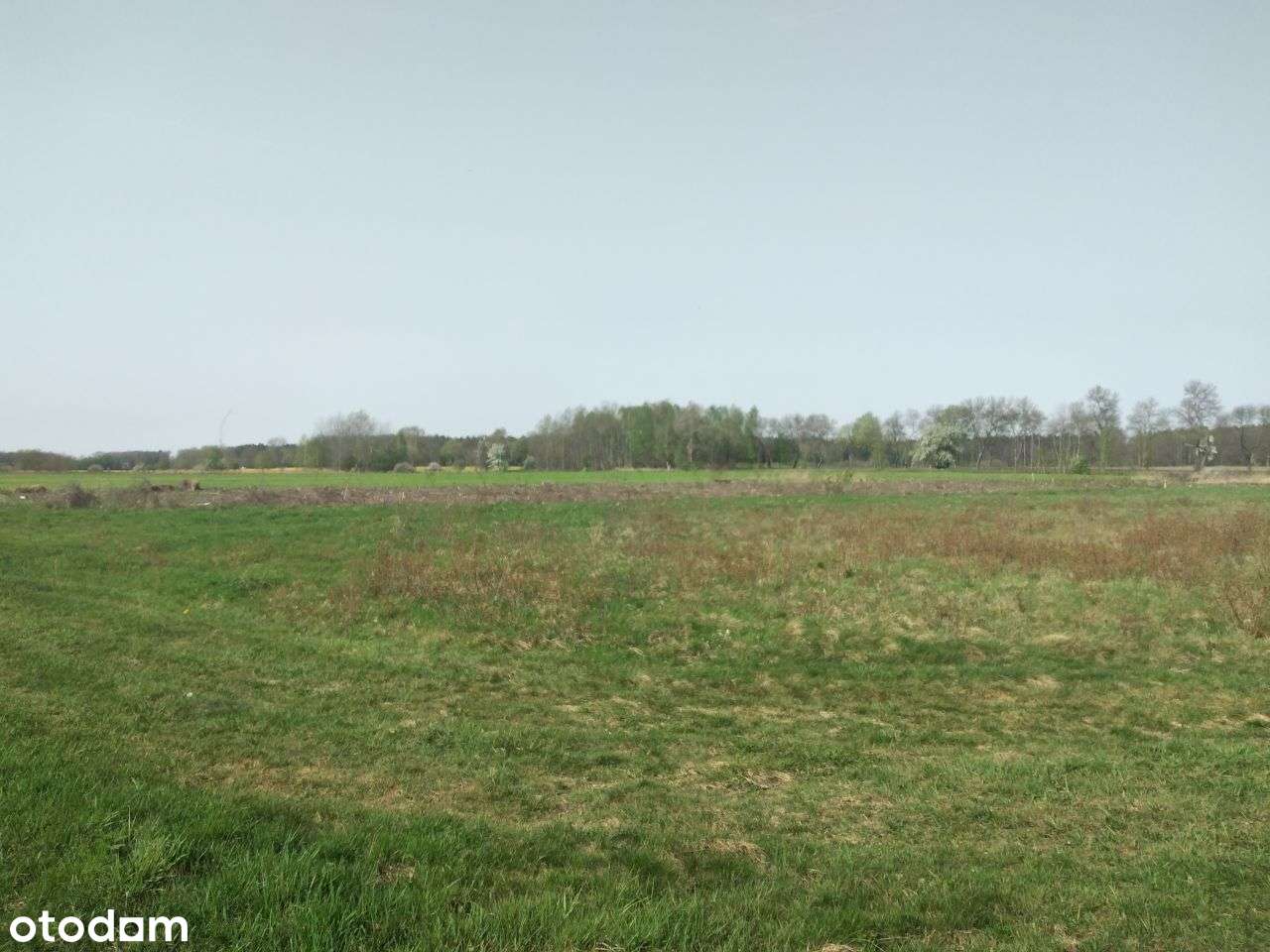 Działka inwestycyjna w m. Lipinki Łużyckie-11