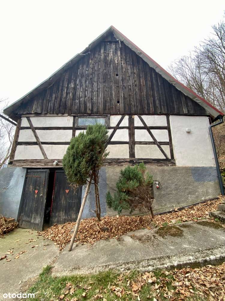 Uroczysko_dla rodziny_agroturystyka_mtb_góry_działka 2 ha-19