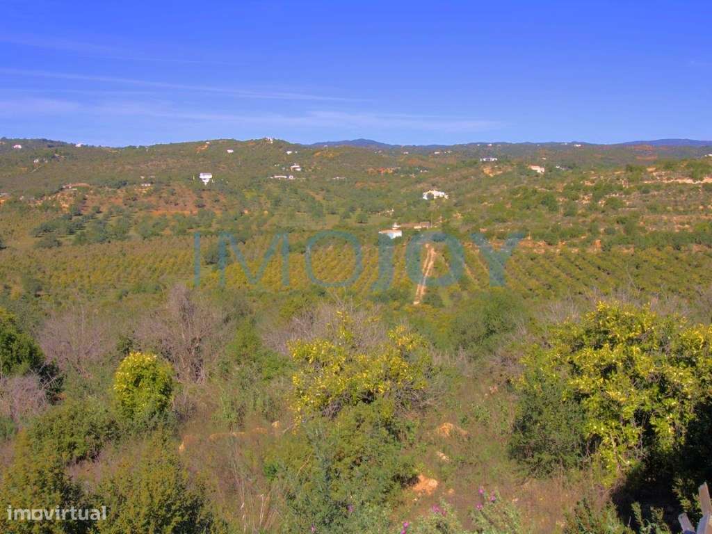 Terreno à 114ha em Luz de Tavira e Santo Estêvão - Grande imagem: 4/28