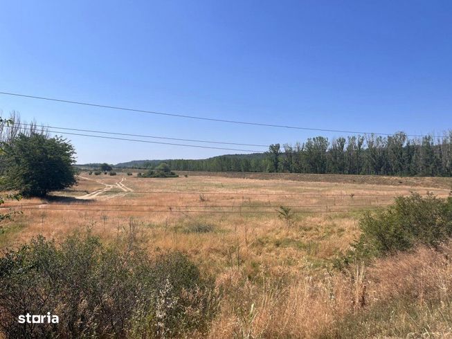 Teren agricol cu potential – 24.834 mp, zona Podul Jiului-9