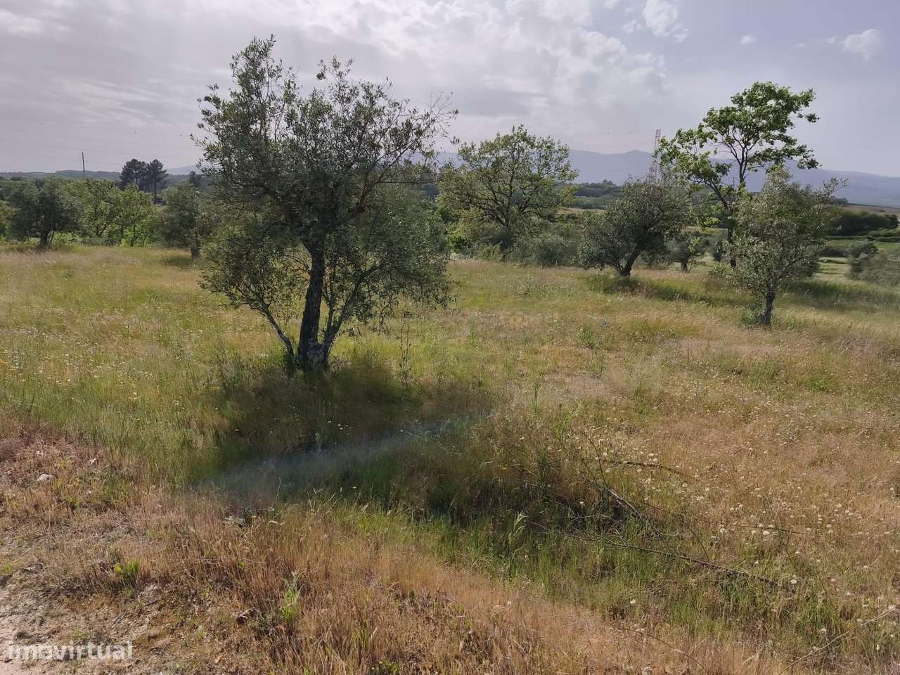 Terreno rustico em castanheira de baixo Peraboa-16