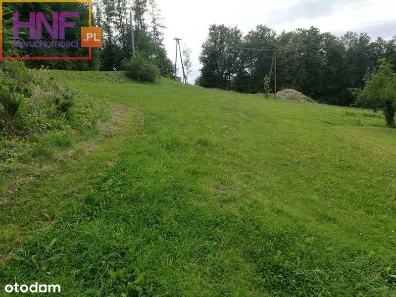 Działka budowlana 14ar w Nawojowej-Podkamienne - Pełny obrazek: 5/7