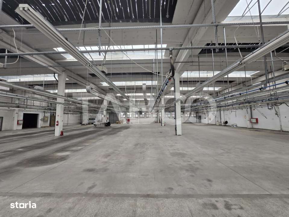 Spatiu pentru orice tip de industrie 1923mp de inchiriat Cisnadie - Imagine principală: 2/6