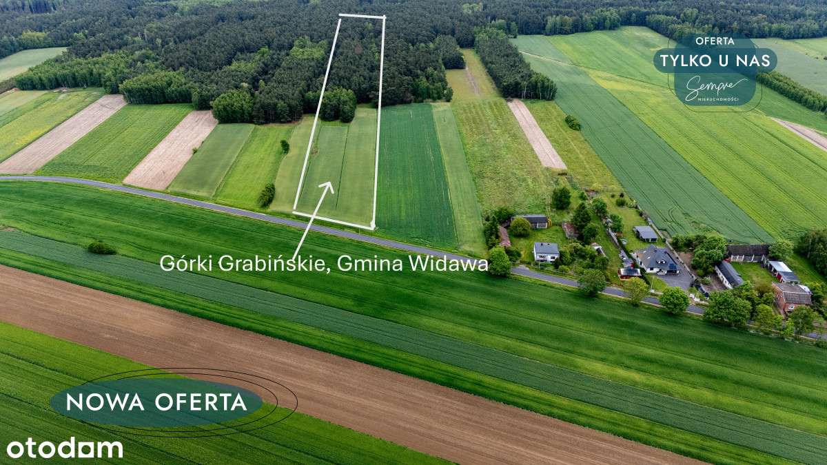 Działka Górki Grabińskie - Pełny obrazek: 3/8