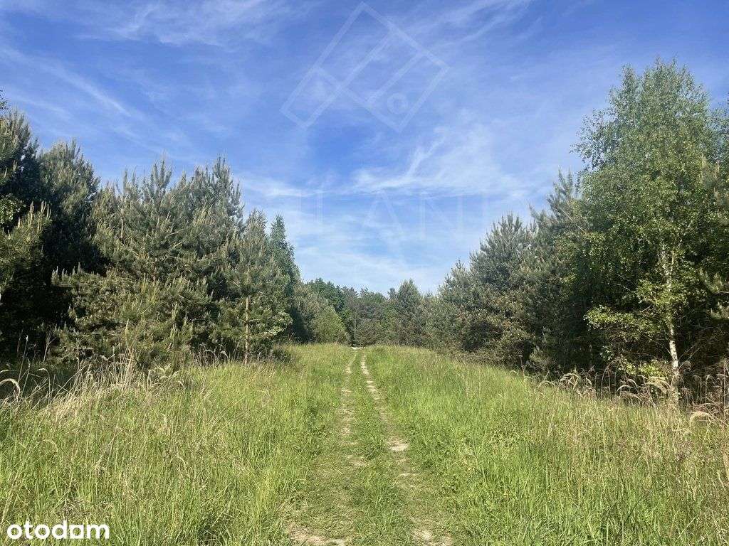 Działka w Mpzp w leśnym zaciszu! - Pełny obrazek: 3/7